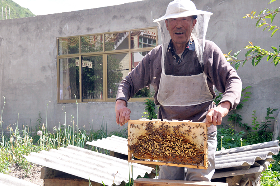 【砥礪奮進的五年】小金:下足“繡花”功夫 產業扶貧鋪就致富路