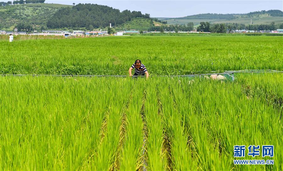 溫暖，一切為了人民的期盼——重訪習近平總書記黨的十八大以來國內考察地