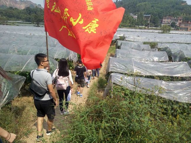 網(wǎng)絡(luò)媒體走轉(zhuǎn)改|桂林全州:“紅+綠”調(diào)出全面小康金色希望