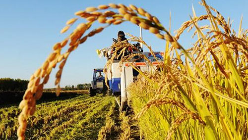 【兩會時評】供給側(cè)結(jié)構(gòu)性改革要“加減法”一起做