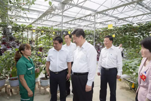 2015年，習(xí)總書(shū)記到過(guò)哪些地方？