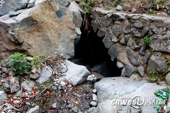 【治國理政新實踐 陜西篇】村文書胡萬春：用生命詮釋對群眾的真情厚愛