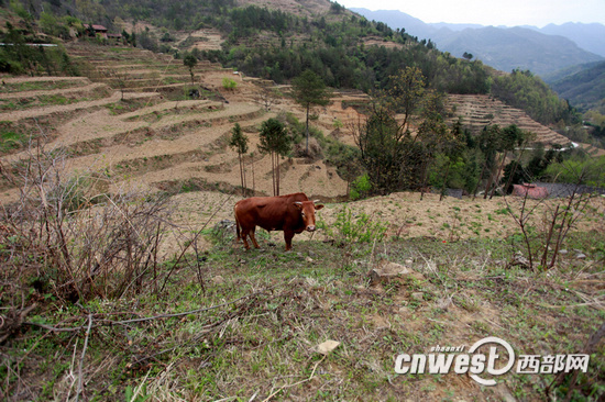 【治國理政新實(shí)踐 陜西篇】村文書胡萬春：用生命詮釋對群眾的真情厚愛