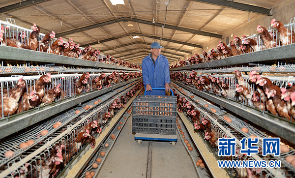 歷史的選擇，人民的期待