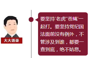 習大大捧紅的網絡熱詞，你知道幾個