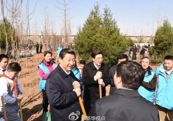 習近平首論林業與全面小康之關系