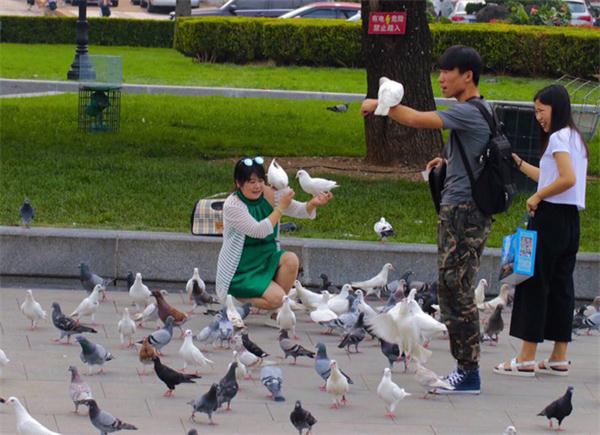 【老外談】發現大連—中國東北繁榮的海港城市