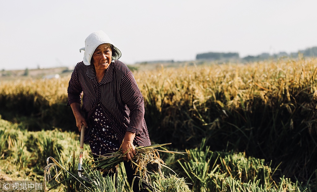 【老外談】中國在消除饑餓戰中走上世界舞臺