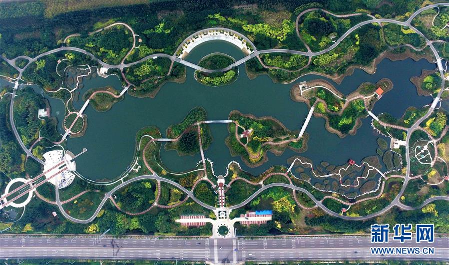 天空之眼瞰生態