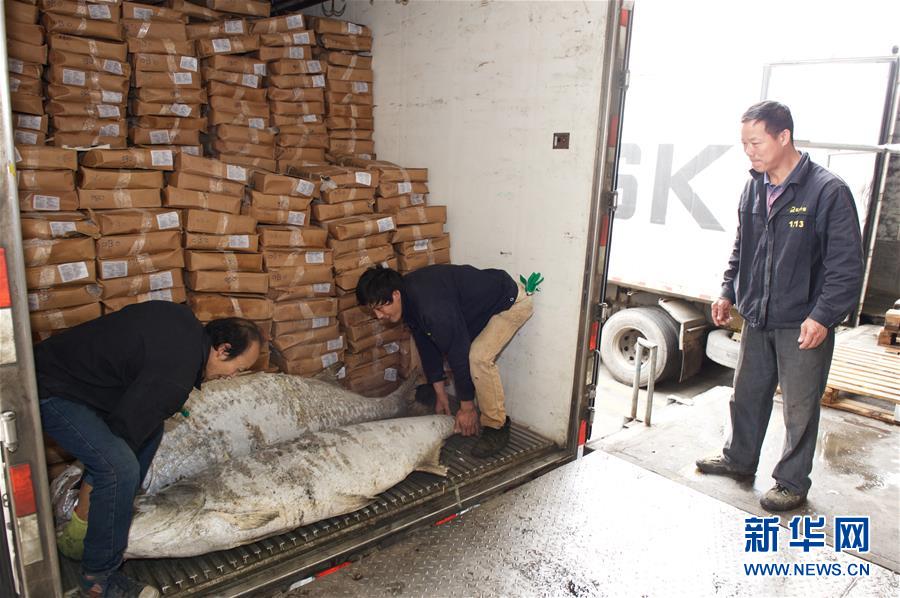 中國-東盟海產(chǎn)品交易所助力“一帶一路”漁業(yè)互利共榮