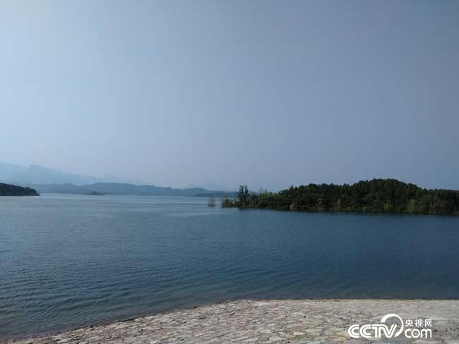 向退役軍人致敬!褪下戎裝,他們還是那個兵!