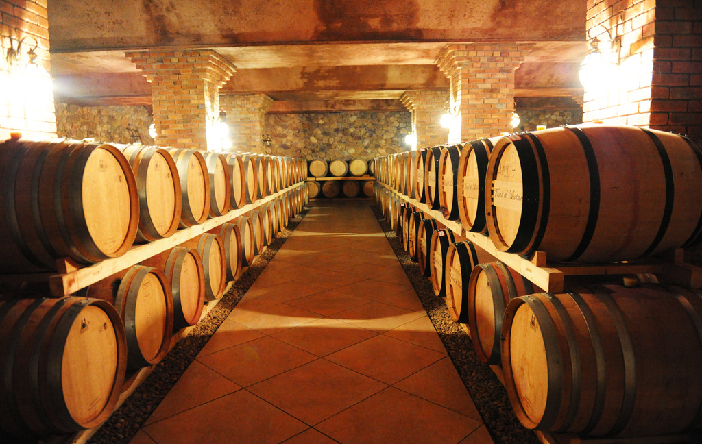 跟隨習主席的腳步,一起到阿根廷看一看!