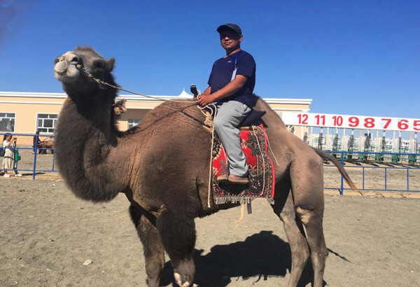 【新時代·幸福美麗新邊疆】從交通工具到渾身是寶 新疆駱駝走上產(chǎn)業(yè)發(fā)展之路