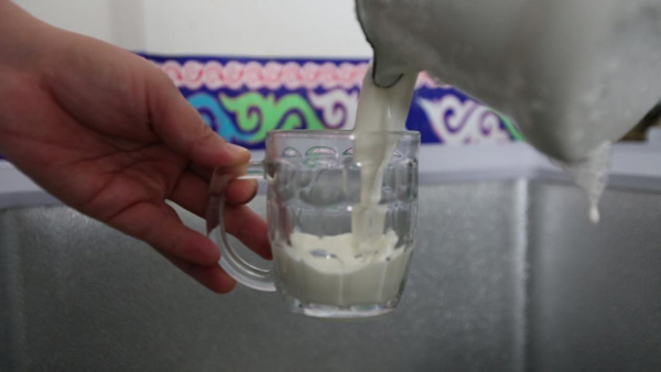 【新時代·幸福美麗新邊疆】從交通工具到渾身是寶 新疆駱駝走上產(chǎn)業(yè)發(fā)展之路