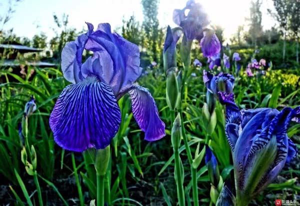 【新時(shí)代·幸福美麗新邊疆】隱匿在大山中的村落 是畫家眼中的“世外桃源”