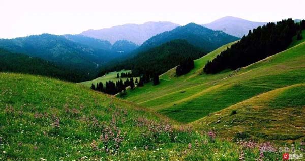 【新時(shí)代·幸福美麗新邊疆】隱匿在大山中的村落 是畫家眼中的“世外桃源”