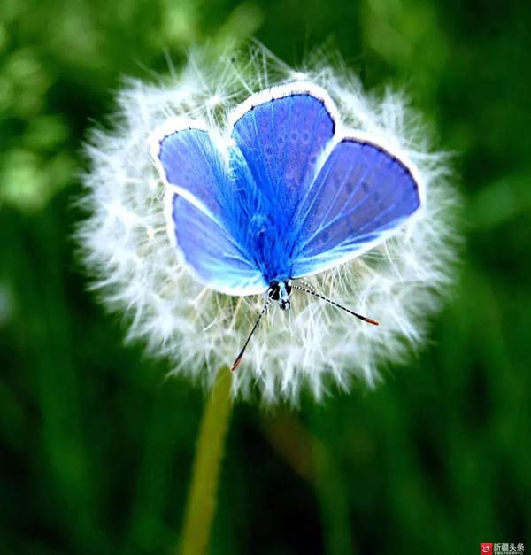 【新時(shí)代·幸福美麗新邊疆】隱匿在大山中的村落 是畫家眼中的“世外桃源”