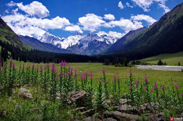 【新時(shí)代·幸福美麗新邊疆】隱匿在大山中的村落 是畫家眼中的“世外桃源”