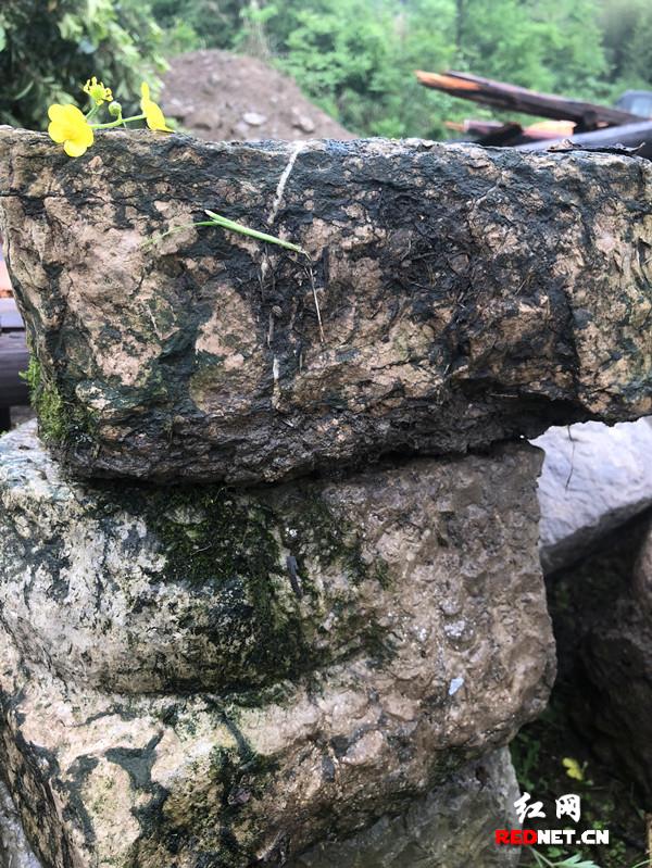 【英雄烈士譜】王爾琢:革命不成功,不剃頭、不刮胡子!