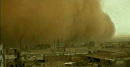 英國小哥到河北塞罕壩避暑，竟意外收獲了一個美麗的故事丨好運中國