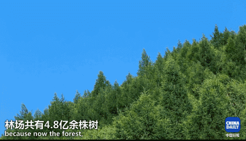 英國小哥到河北塞罕壩避暑，竟意外收獲了一個美麗的故事丨好運中國