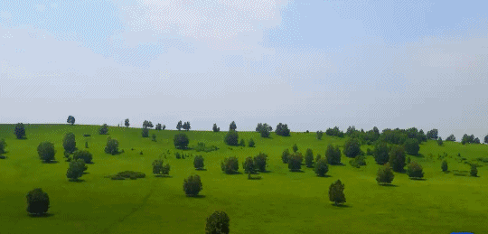 英國小哥到河北塞罕壩避暑，竟意外收獲了一個美麗的故事丨好運中國