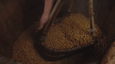 獨(dú)家視頻|這五年:英國小妹來到湘西苗寨,為什么變化這么大!