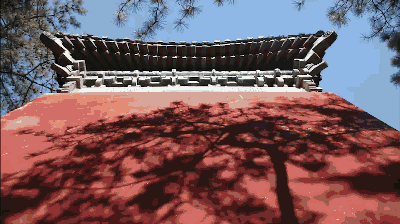 獨家視頻|這五年：英國小妹從北京到雄安，發現果然1+1+1>3！