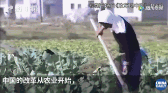 從斯坦福高材生到中美關系專家,他見證中國巨變,感觸最深的是……丨40年40人