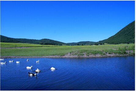 【地產(chǎn)華表獎(jiǎng)名人寄語(yǔ)】美林地產(chǎn)總裁戴濱
