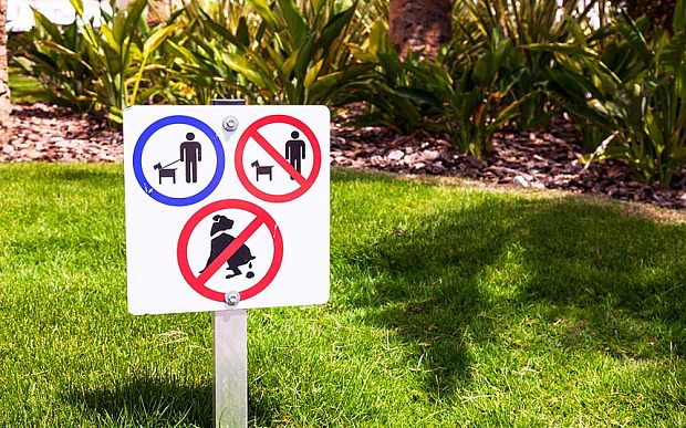 遛狗不清理便便?西班牙DNA驗狗糞追責