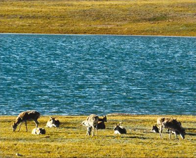 青海“十三五”建議：走綠色循環(huán)低碳發(fā)展之路 構筑生態(tài)安全屏障