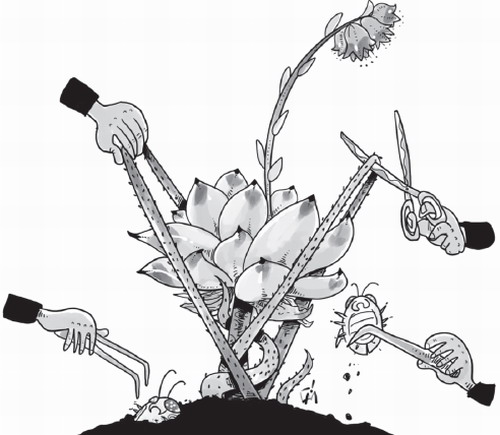 評論:反腐有助經濟增長和減少貧困人口