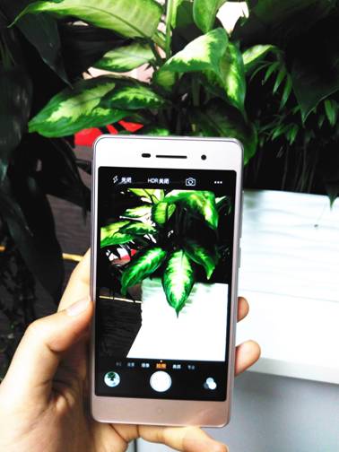 鋒尚mini:千元機中的顏值擔當