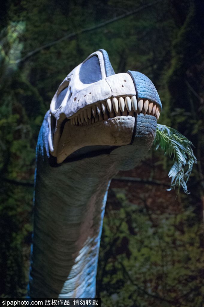 英國恐龍展超逼真 彷佛回到侏羅紀(jì)