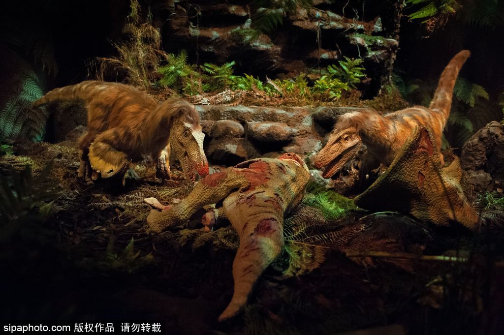 英國(guó)恐龍展超逼真 彷佛回到侏羅紀(jì)