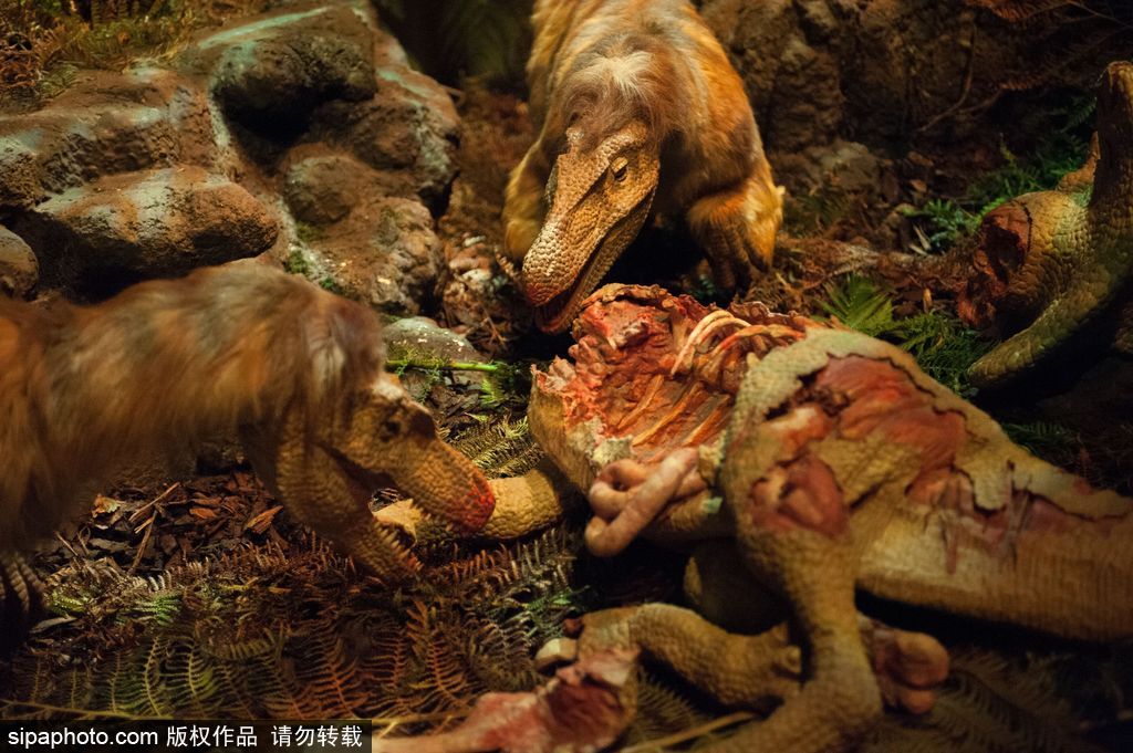 英國恐龍展超逼真 彷佛回到侏羅紀(jì)