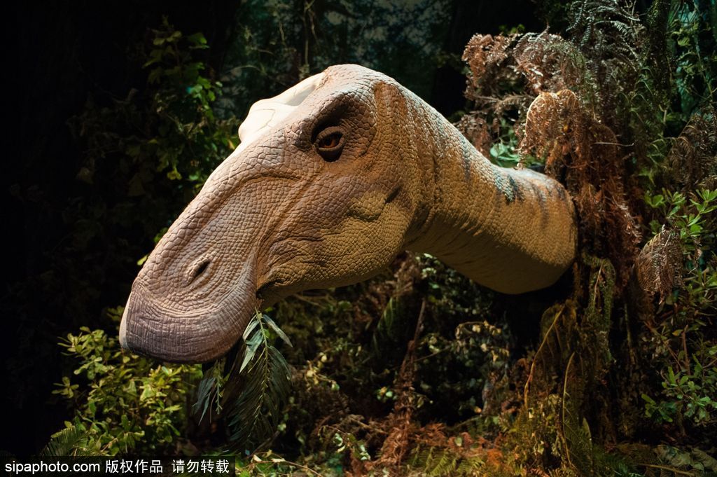 英國恐龍展超逼真 彷佛回到侏羅紀(jì)