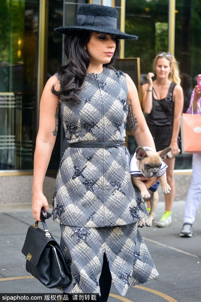 盤(pán)點(diǎn)：“星級(jí)”鏟屎官與汪星人的溫馨日常