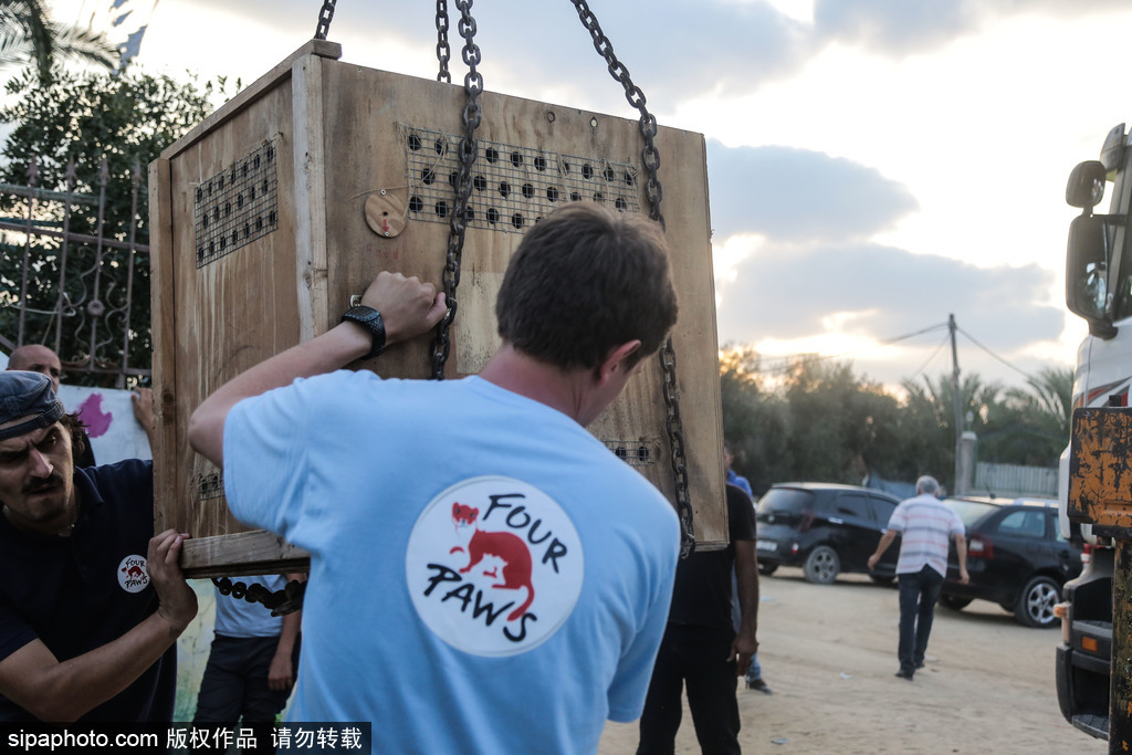全球最慘動物園永久關閉