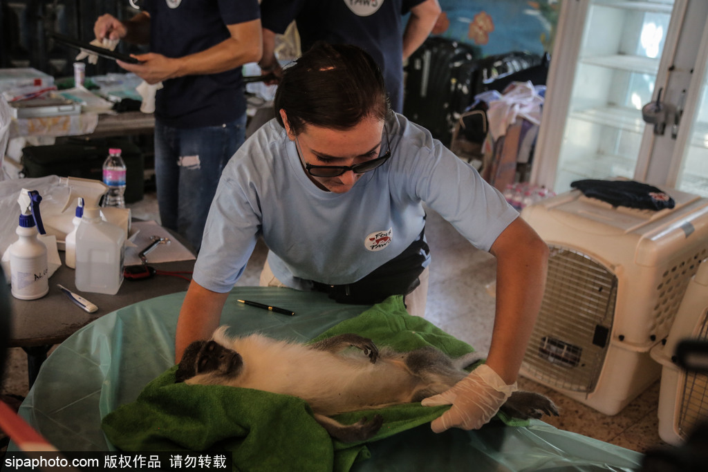 全球最慘動(dòng)物園永久關(guān)閉