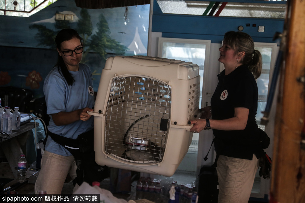 全球最慘動物園永久關(guān)閉