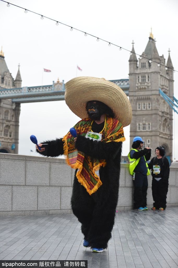 英國(guó)舉辦“大猩猩”慈善跑 人扮猩猩獻(xiàn)愛(ài)心募款