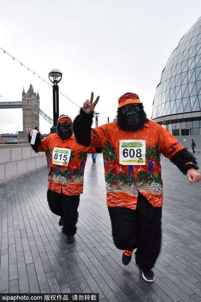 英國舉辦“大猩猩”慈善跑 人扮猩猩獻愛心募款