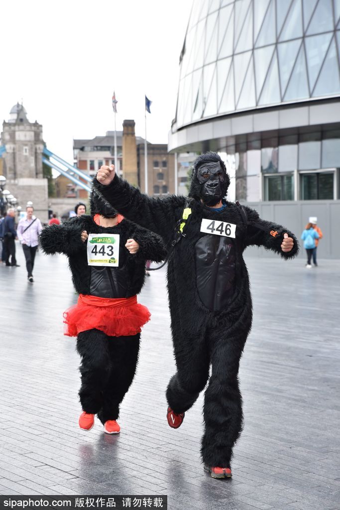 英國(guó)舉辦“大猩猩”慈善跑 人扮猩猩獻(xiàn)愛(ài)心募款