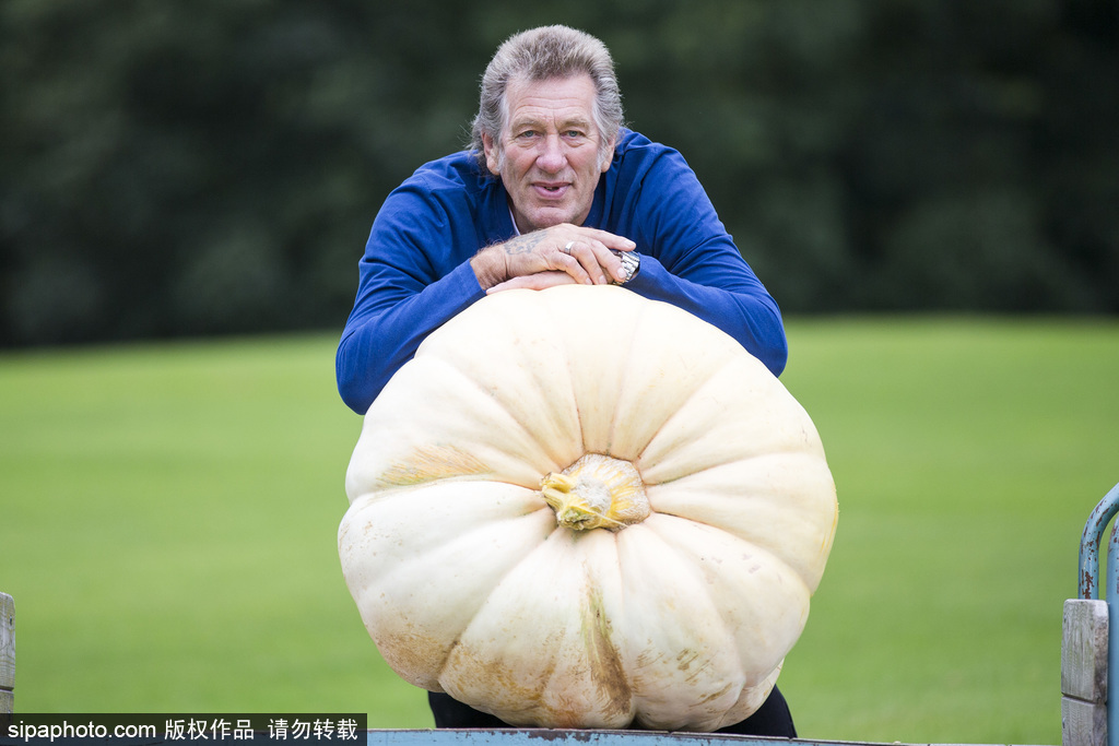英國(guó)舉行“巨型蔬菜競(jìng)賽” 南瓜綠菜中“巨無(wú)霸”亮相驚呆路人