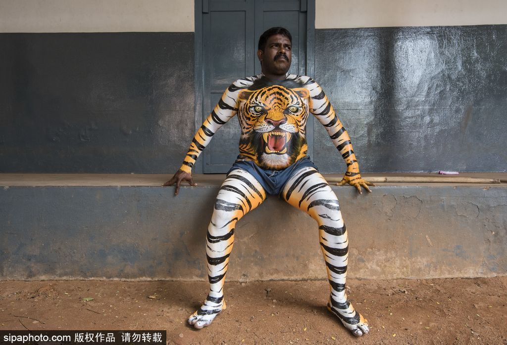 印度傳統虎舞的臺前幕后 表演者用顏料涂滿全身化身“猛虎”