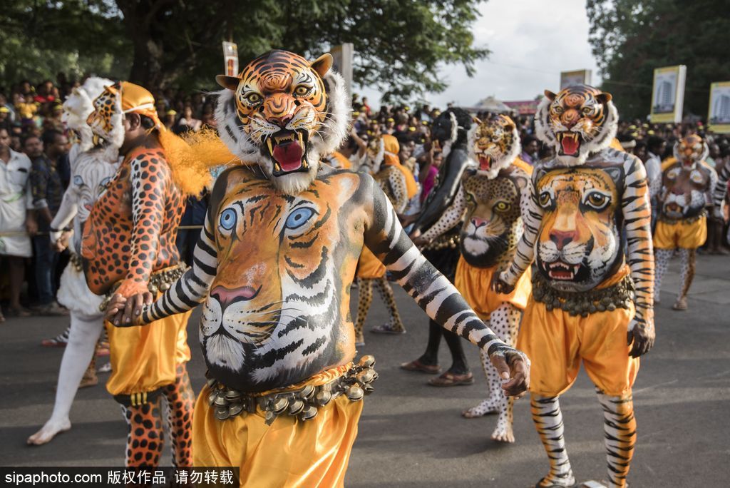 印度傳統(tǒng)虎舞的臺(tái)前幕后 表演者用顏料涂滿全身化身“猛虎”
