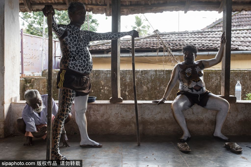 印度傳統(tǒng)虎舞的臺(tái)前幕后 表演者用顏料涂滿全身化身“猛虎”