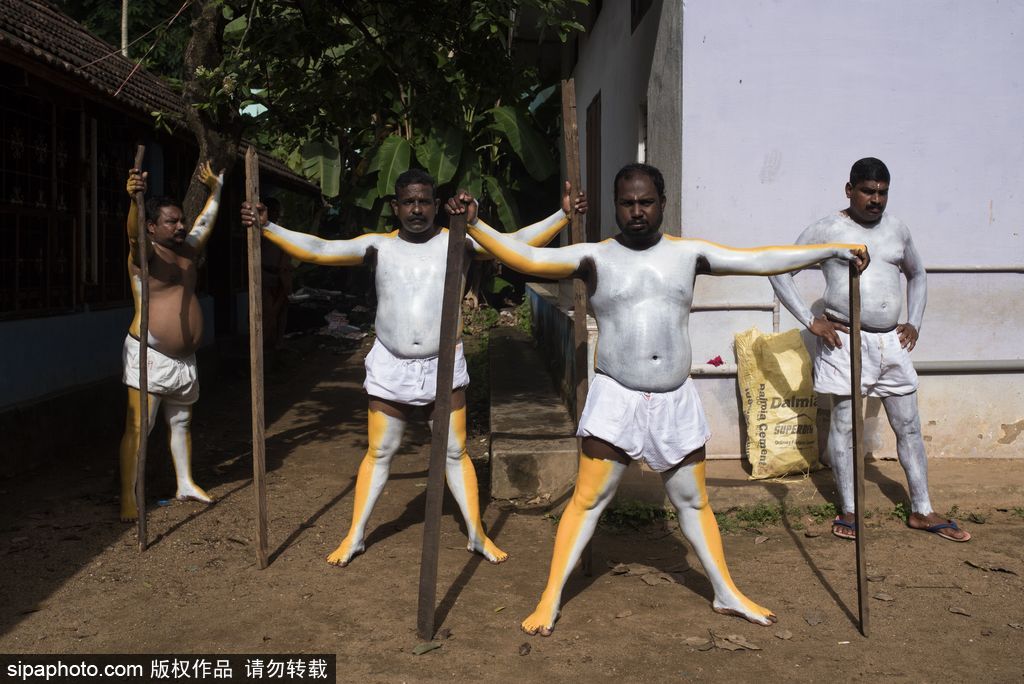 印度傳統虎舞的臺前幕后 表演者用顏料涂滿全身化身“猛虎”